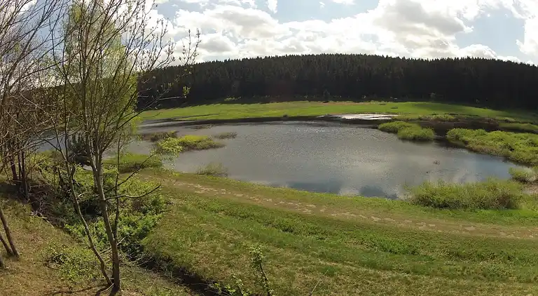Holiday home in Hasselfelde