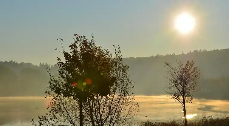 Holiday home in Hasselfelde