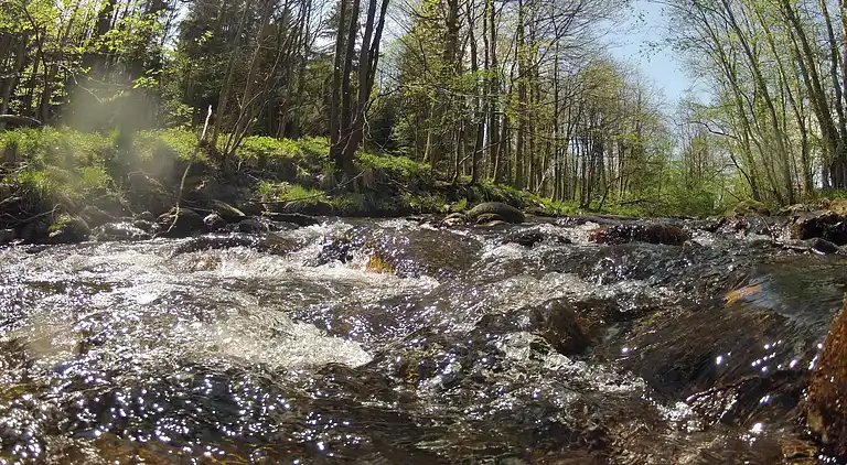 Holiday home in Hasselfelde