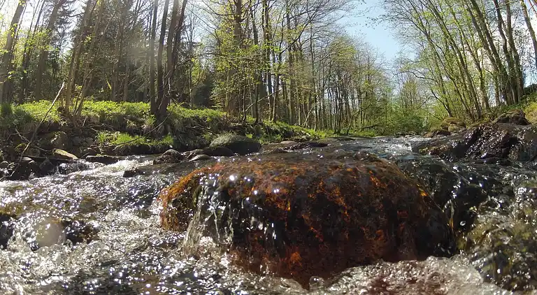 Holiday home in Hasselfelde
