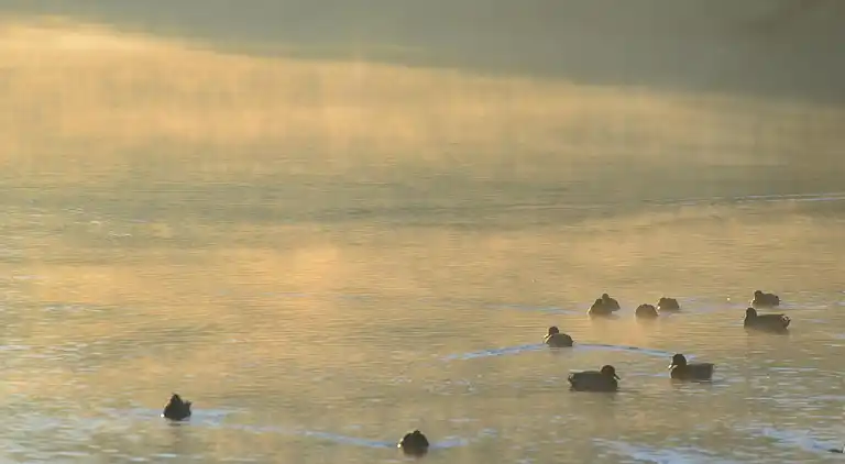 Holiday home in Hasselfelde