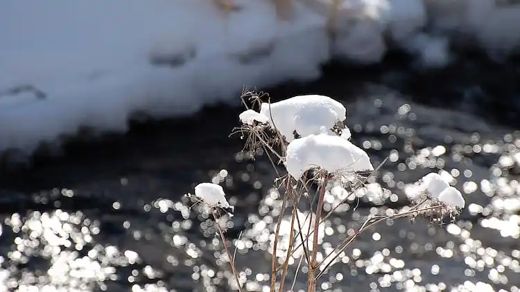 Holiday home in Hasselfelde