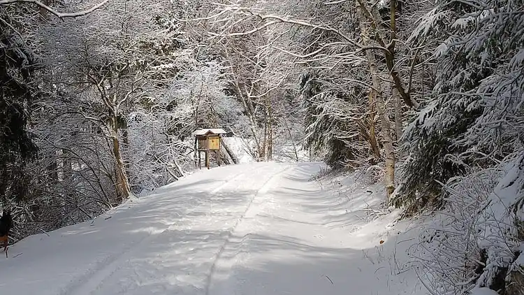 Holiday home in Hasselfelde