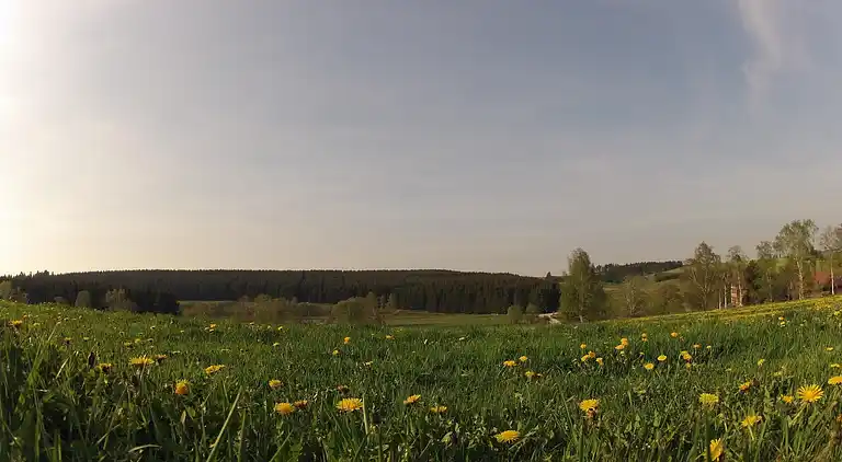 Holiday home in Hasselfelde