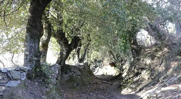 Ferienwohnung in Alzi