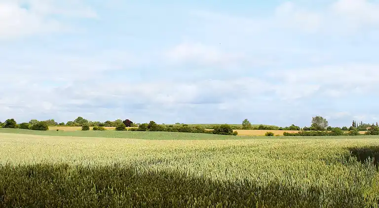Sommerhus i Tranekær