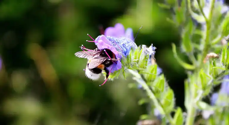 Sommerhus i Tranekær