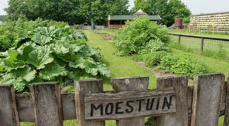 vakantiehuis in Heeten