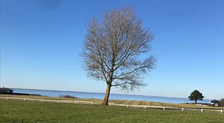 Charmerende rækkehus ved strand, skov og natur 