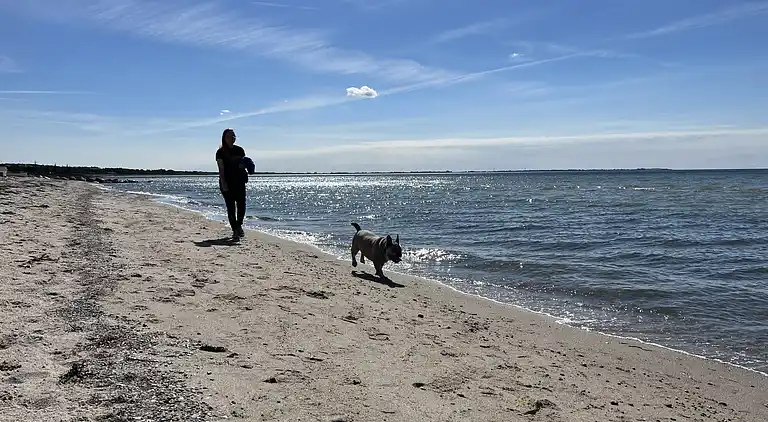 Ferienhaus am Strand mit Panoramablick
