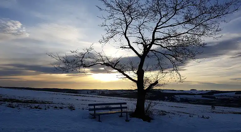 Holiday home in Manderfeld