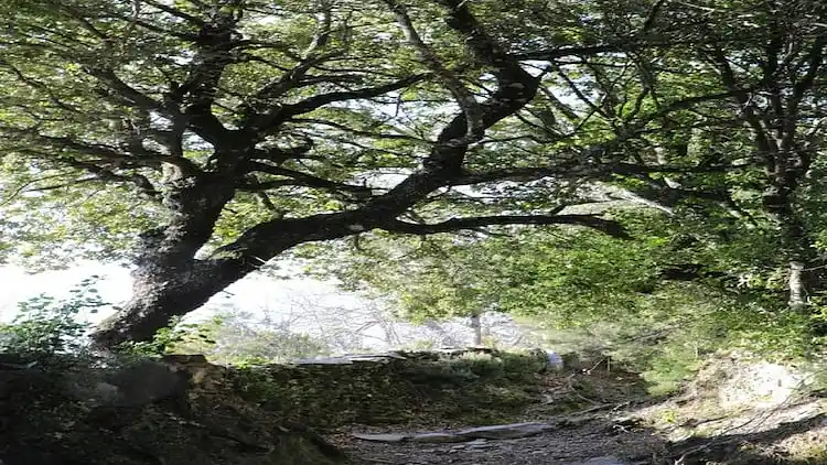 Ferienwohnung in Alzi