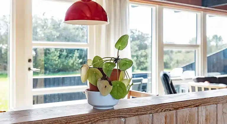 Holiday home in Agger