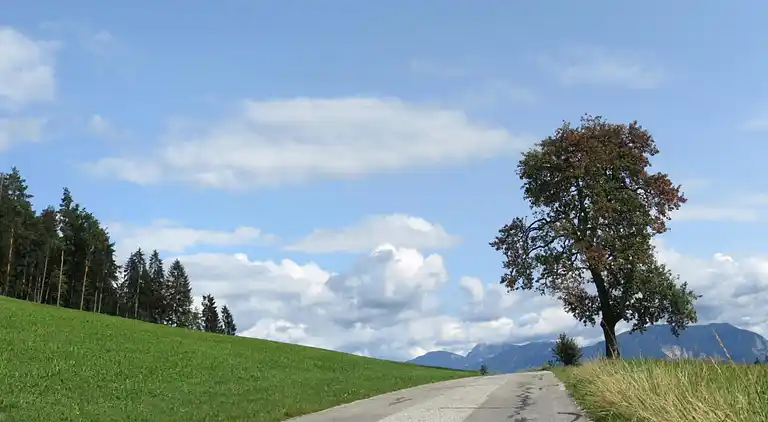 Apartment in Wurdach