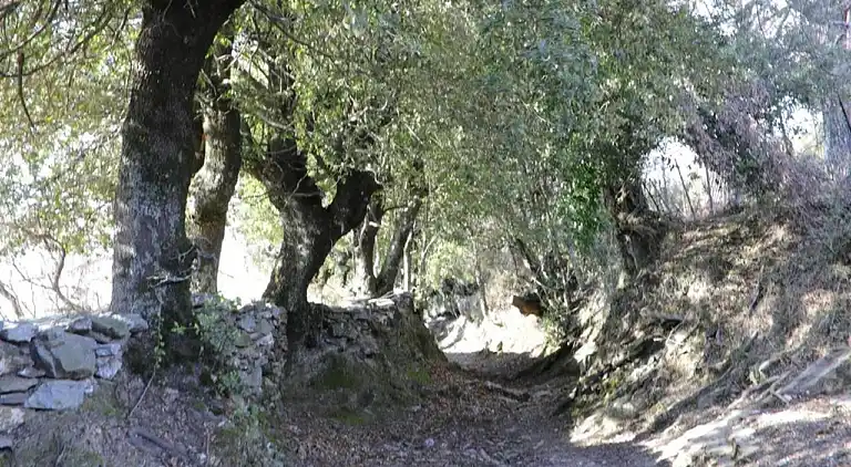 Ferienwohnung in Alzi