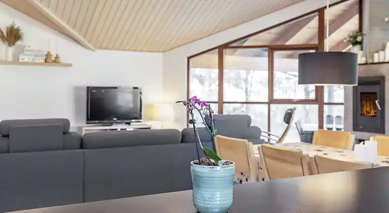 Maison de vacances dans les Skals