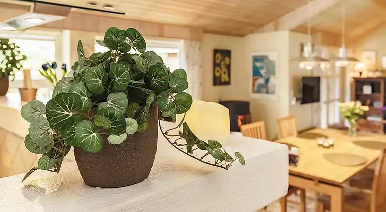 Sommerhus i Blåvand