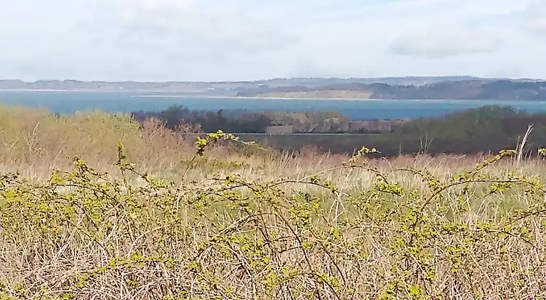 Holiday home in Struer