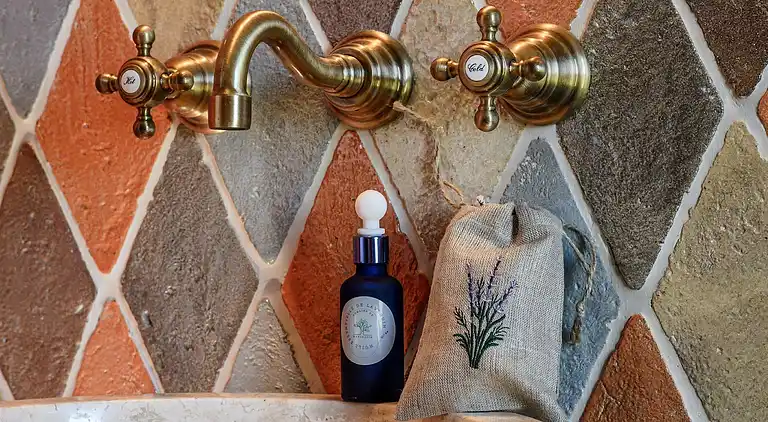 Manor house in Sagelat