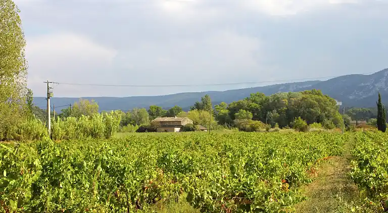 Cottage in Oppède