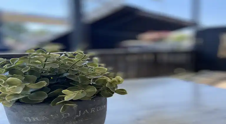 Sommerhus i Delfstrahuizen