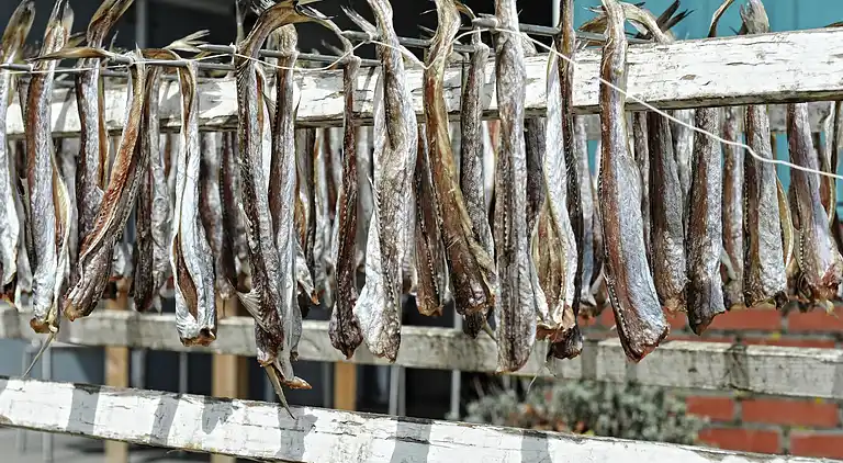 Holiday home in Zoutkamp