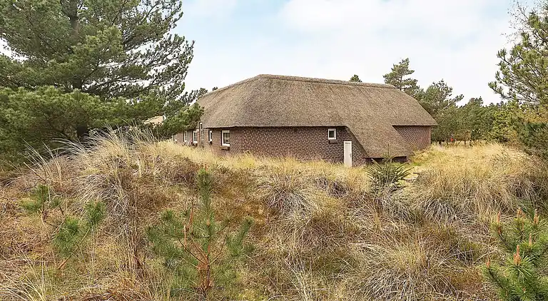Holiday home in Blåvand