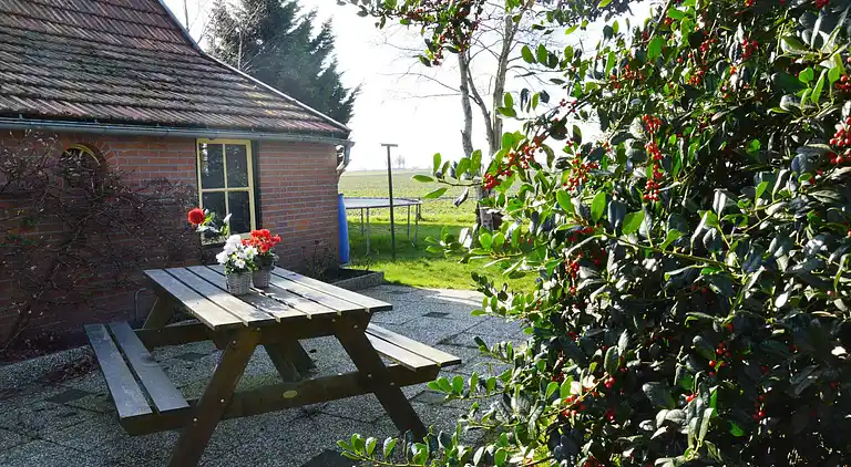 Vakantiehuis in Den Ham