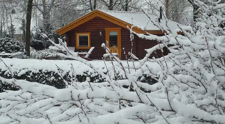 Cottage in Gramsbergen