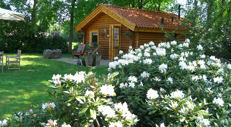 Cottage in Gramsbergen