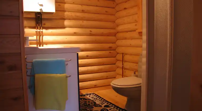 Cottage in Gramsbergen