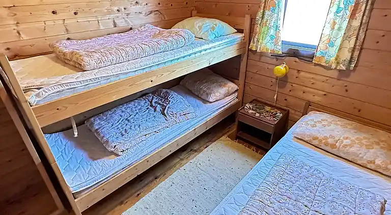 Vakantiehuis in Skarstein