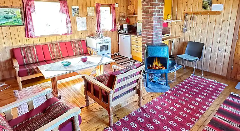 Vakantiehuis in Skarstein