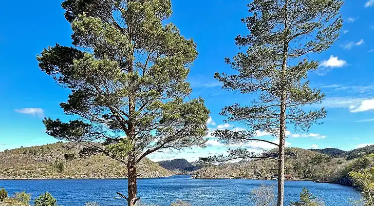 Vakantiehuis in Skarstein