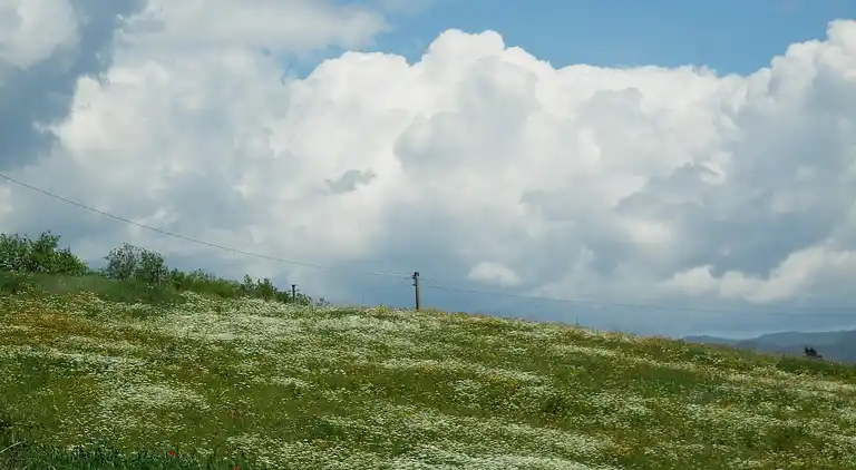 Gårdshus i Ortignano Raggiolo