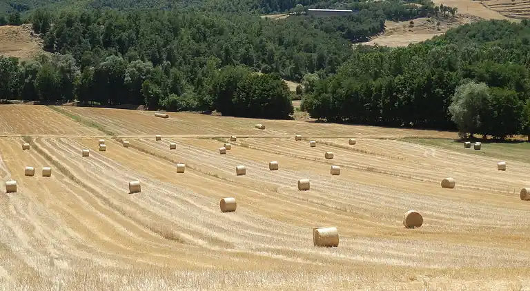 Casa rural en Ortignano Raggiolo