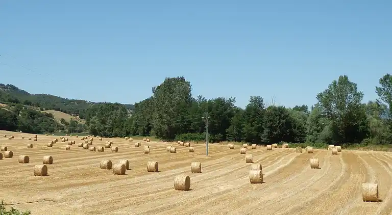 Gårdshus i Ortignano Raggiolo