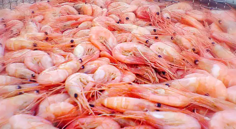 Sommerhus i Lysekils