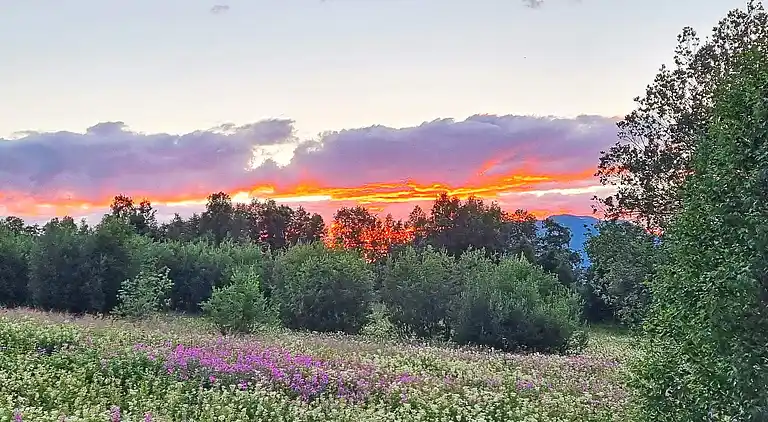 Sommerhus i Sultindvik