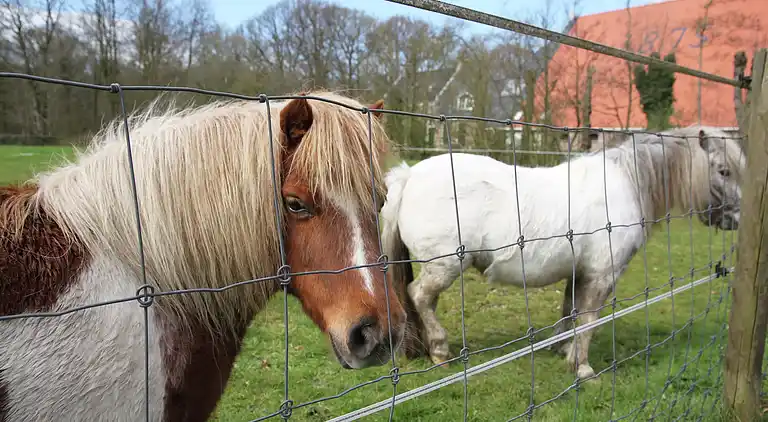 Holiday home in Langweer