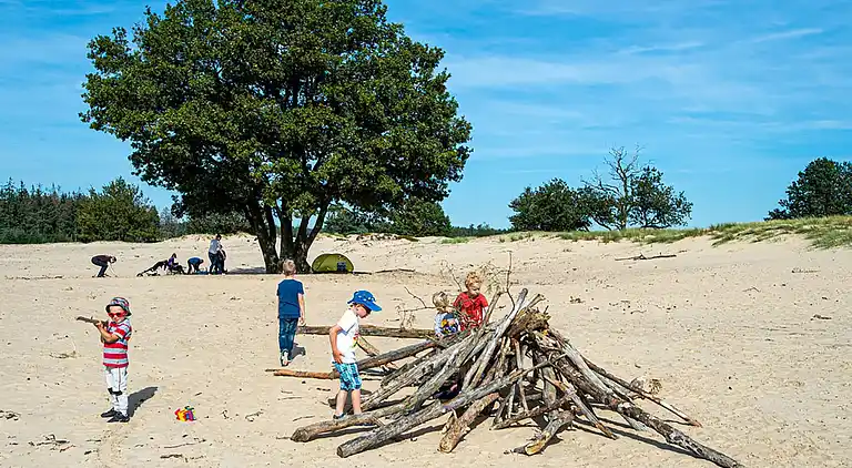 Holiday home in Appelscha