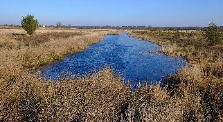 Holiday home in Appelscha