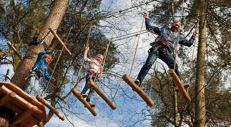 Holiday home in Appelscha