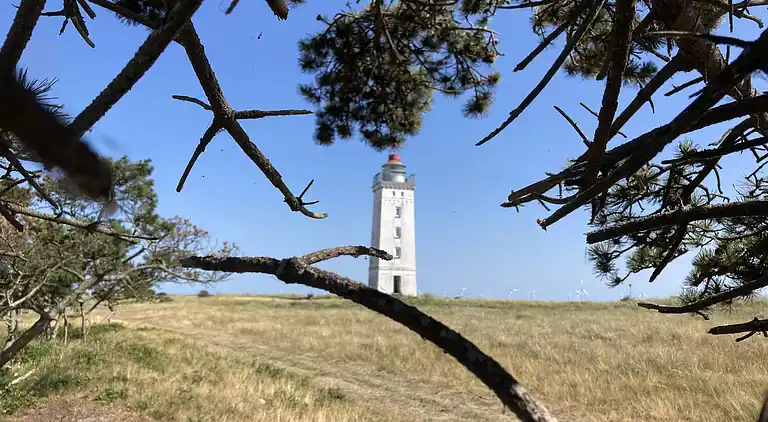 Dejligt sommerhus tæt på strand og natur