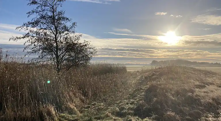 Dejligt sommerhus tæt på strand og natur