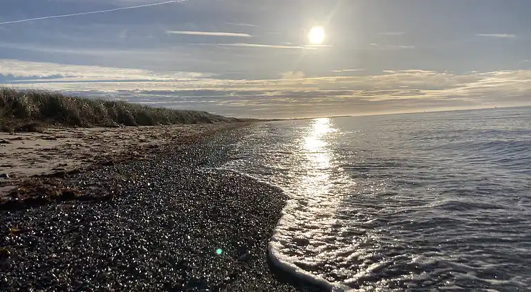Dejligt sommerhus tæt på strand og natur