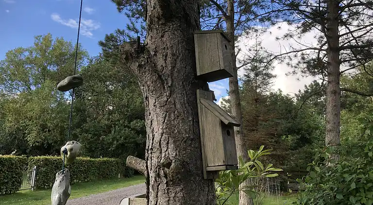 Dejligt sommerhus tæt på strand og natur