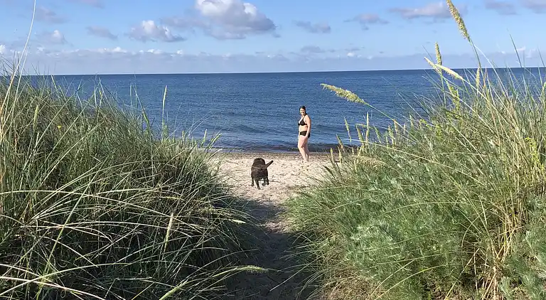 Dejligt sommerhus tæt på strand og natur