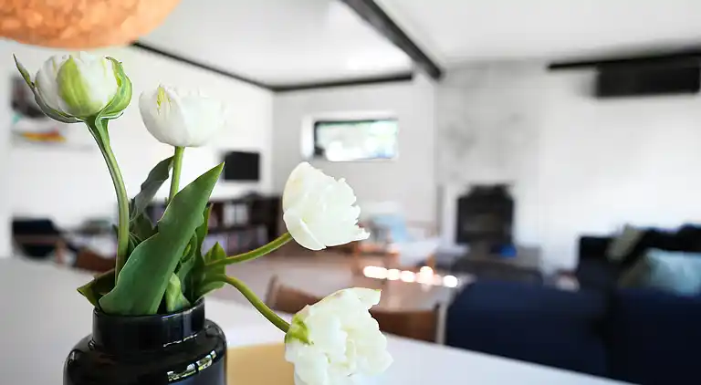 Ferienhaus in der Nähe von Stadt und Strand