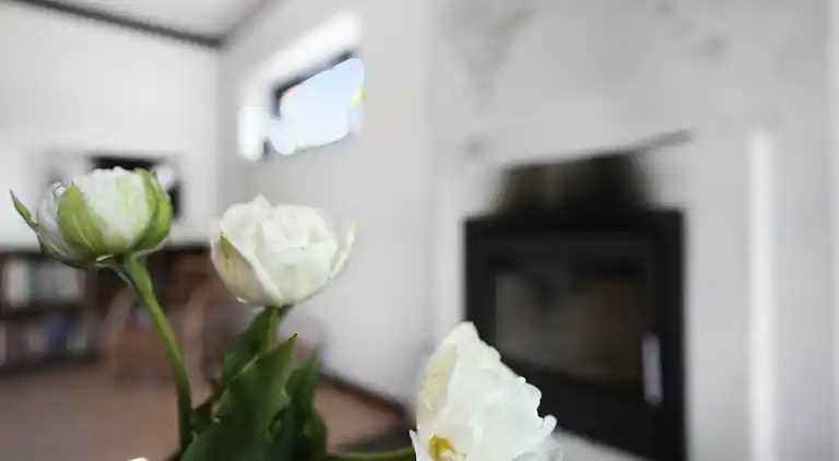 Ferienhaus in der Nähe von Stadt und Strand